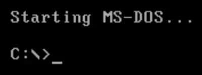 MS-DOS 2.0
