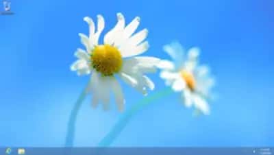 Windows 8