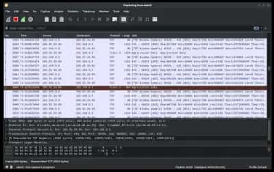 Wireshark 网络分析
